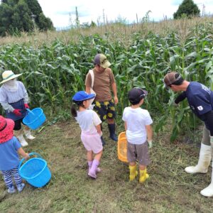 夏休み！信濃町で旬のとうもろこし収穫体験＆ジェラートを食べよう！を 開催しました！